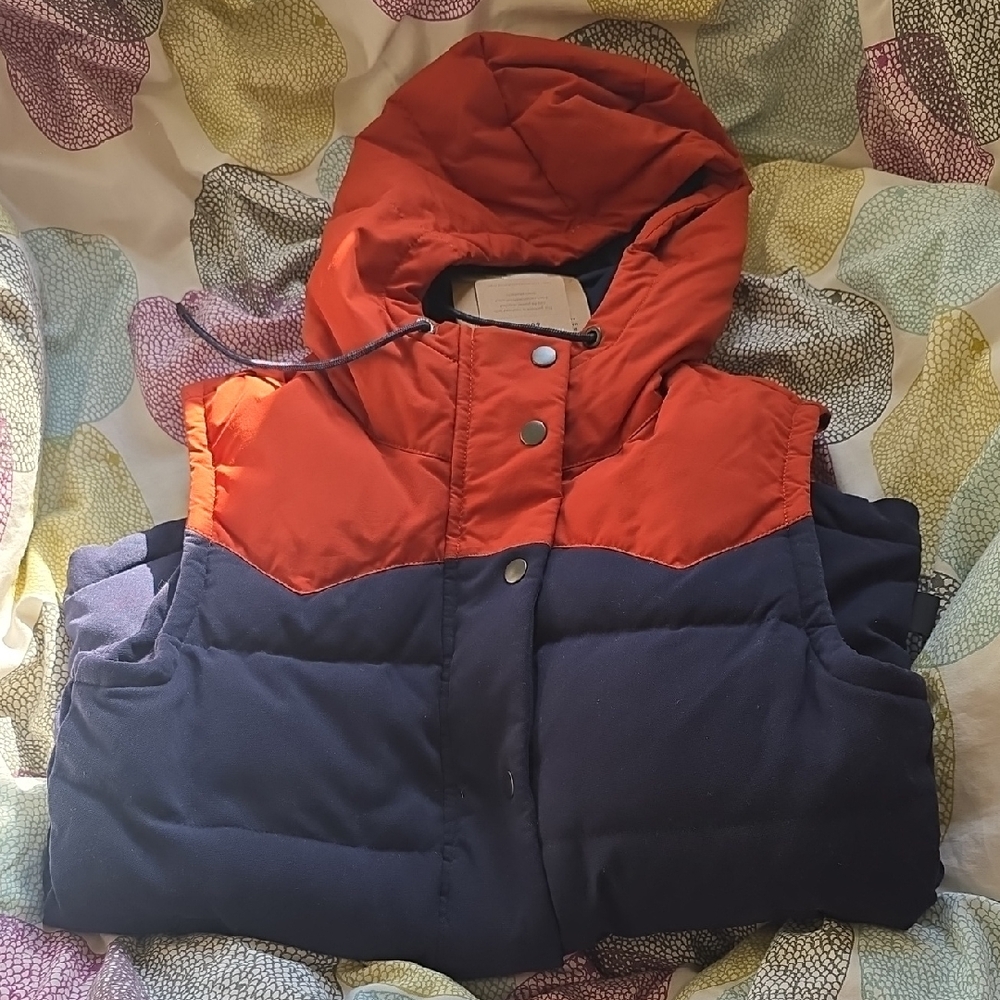 Patagonia Vest